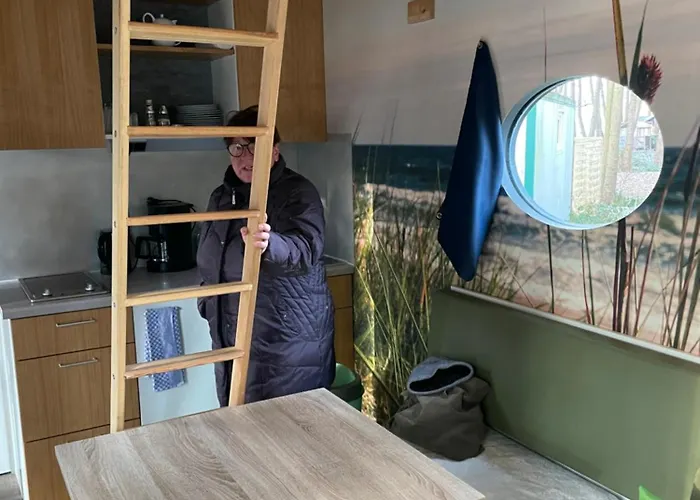 Apartament Tiny House Paula *